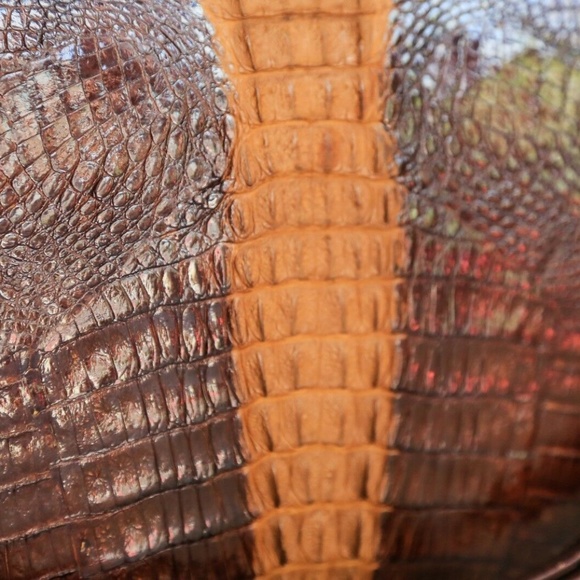 Vintage Alligator Handbag - Picture 6 of 12